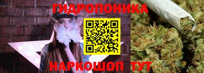 ПСИЛОЦИБИНОВЫЕ ГРИБЫ Партизанск