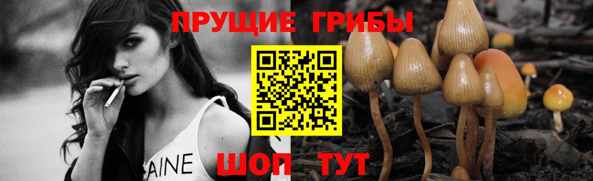 Сергиев Посад  Галлюциногенные грибы ЛСД  Галлюциногенные грибы ЛСД  Вход с VPN 